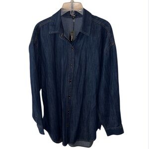 Express Denim Boyfriend Portfolio Shirt